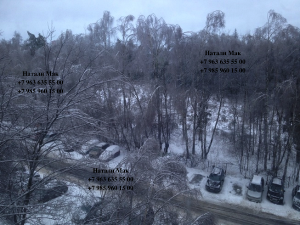 квартиры в зеленограде