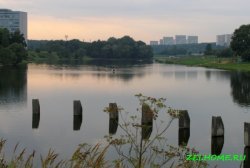 Большой городской пруд