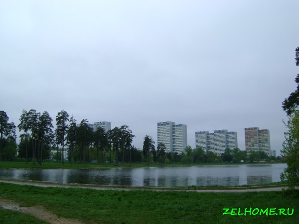 зеленоград фото - Школьное озеро