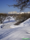 Вид на Парк Победы зимой