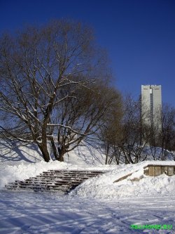 Парк Победы зимой