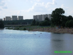 Городской пруд в жаркое лето
