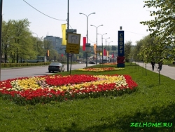 Центральный проспект