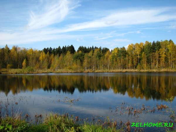 зеленоград фото - Чёрное озеро