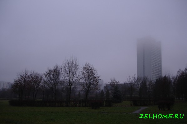 зеленоград фото - Туман в Парке Победы