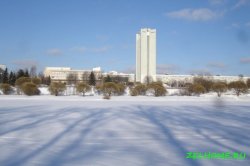 Большой городской пруд зимой