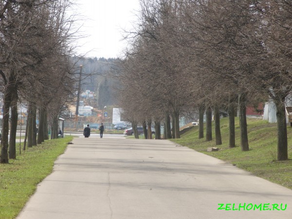 зеленоград фото - Весна на центральном проспекте