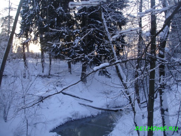 зеленоград фото - Болдов ручей зимой