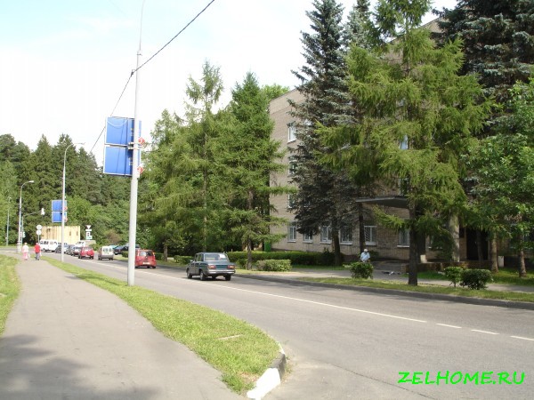 зеленоград фото - У городской больницы на каштановой аллеи