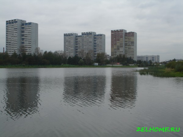 зеленоград фото - Школьное озеро 