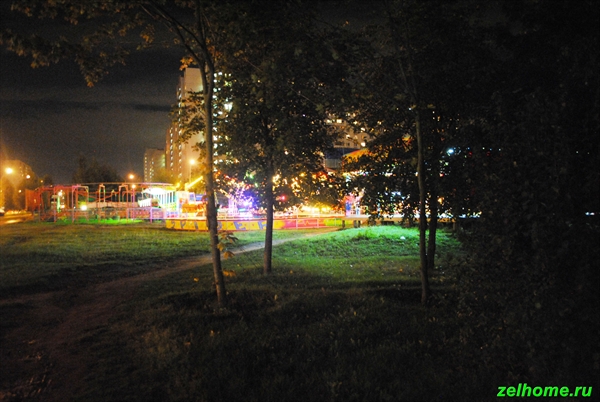 зеленоград фото - Ночной парк