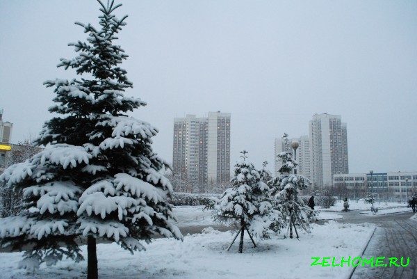 зеленоград фото - 15 микрорайон зимой