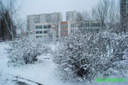 Детский сад