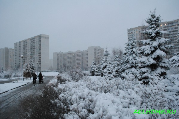 зеленоград фото - Зимний парк в 15 районе