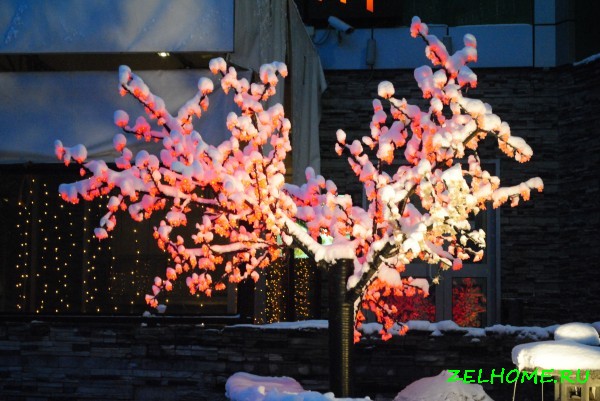 зеленоград фото - Снежное дерево