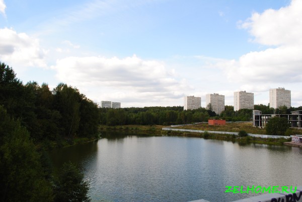 зеленоград фото - Малый городской пруд