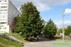 Центральный проспект