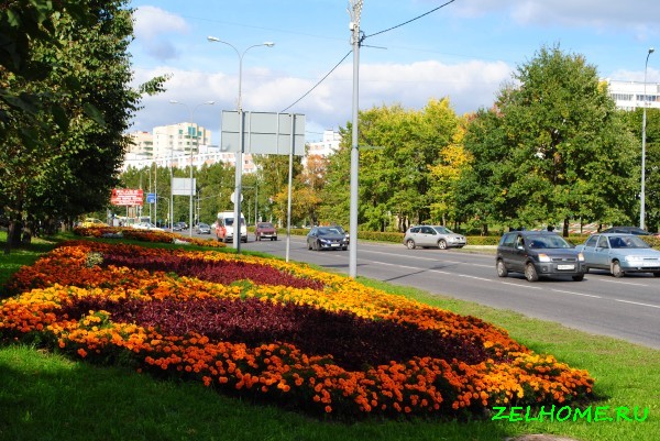 зеленоград фото - Центральный проспект