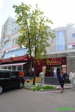 Темпл бар