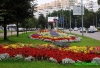 Клумбы цветов на Центральном Проспекте