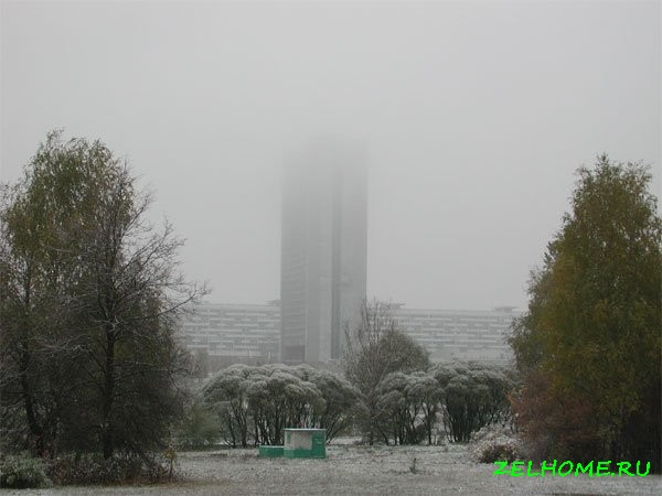 зеленоград фото - Парк победы в тумане 