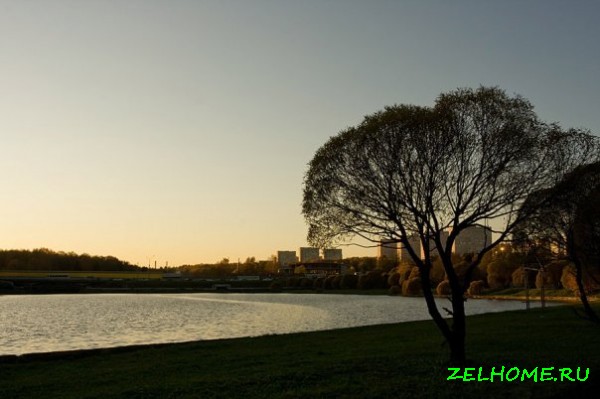 зеленоград фото - Большой городской пруд