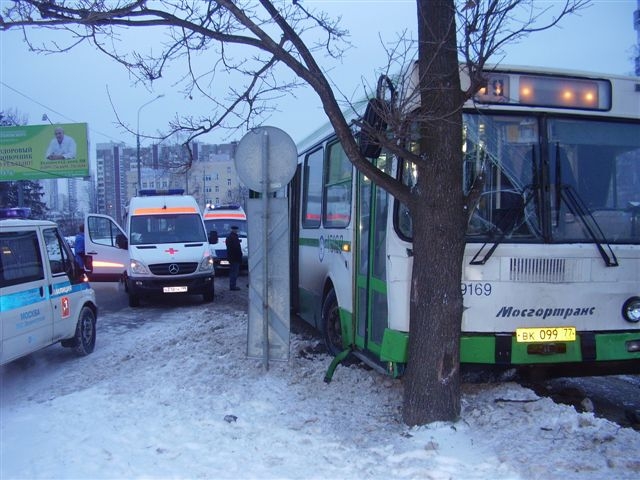 автобус, зеленоград, дерево, фото, авария